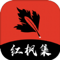 WWW,313se·COM网站APP最新版